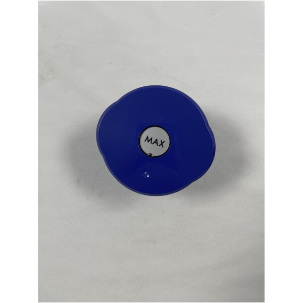 Dyson V6 and SV05 Hepa Filter - 966912-03