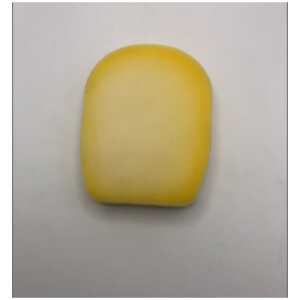 Shark Foam Filter for IZ300 / IZ320 / IZ251