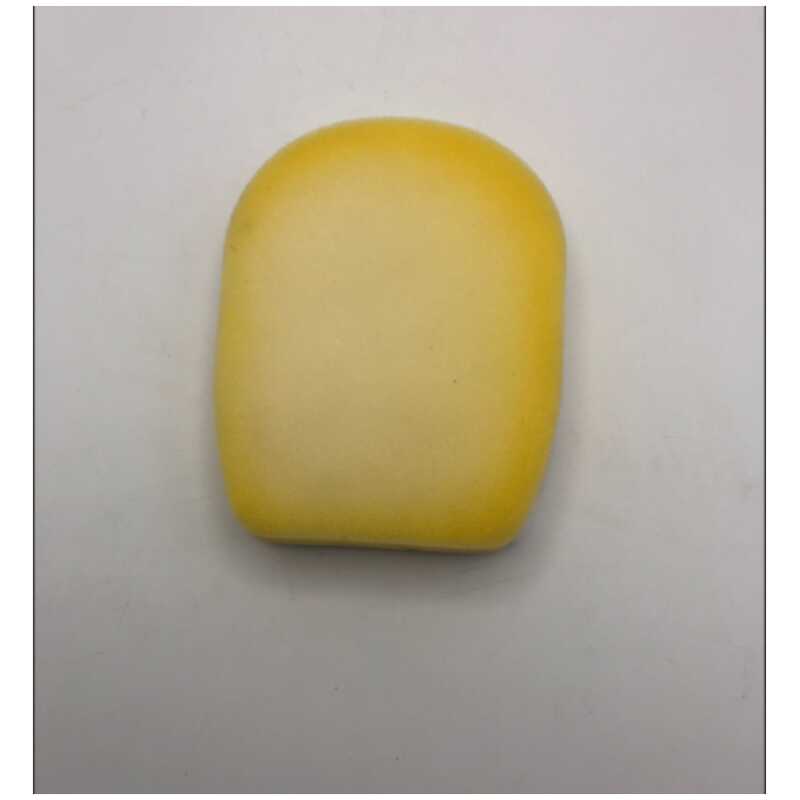 Shark Foam Filter for IZ300 / IZ320 / IZ251