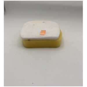 Shark Foam Filter for IZ300 / IZ320 / IZ251