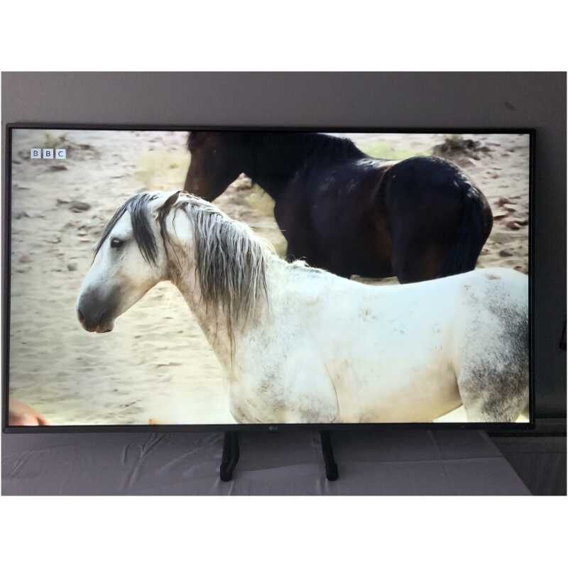 LG 55UJ670V-ZD.BEKYLJP 55" Ultra HD 4K TV