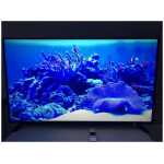 Toshiba 65U2963DB 65" Smart 4K Ultra HD HDR LED TV