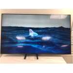 LG 65SM8200PLA.BEKGLJP 65" NanoCell 4K TV