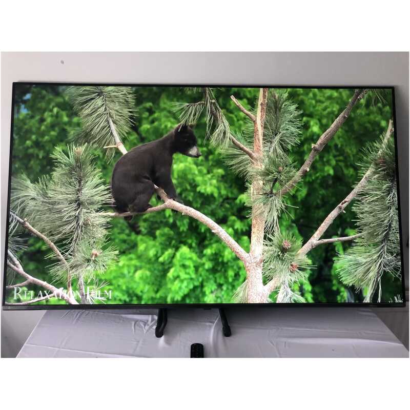 LG 65SM8200PLA.BEKGLJP 65" NanoCell 4K TV