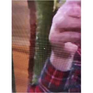 Polaroid P48LED14 48