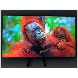 SAMSUNG QE50Q60AAUXXU 50