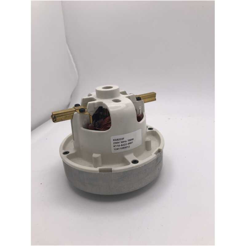 Henry/Hetty Numatic DL1 Motor
