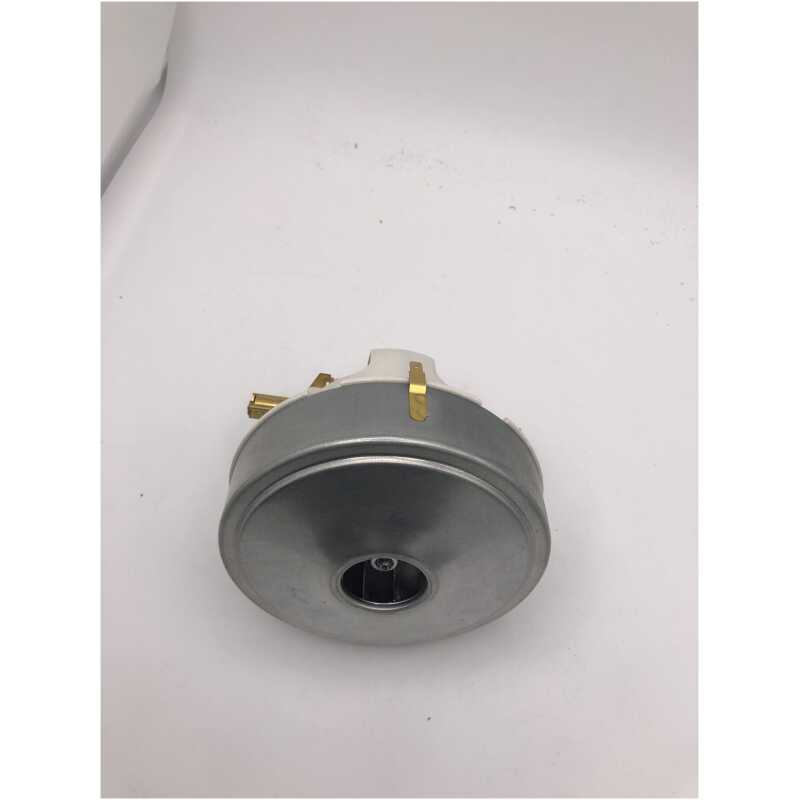 Henry/Hetty Numatic DL1 Motor