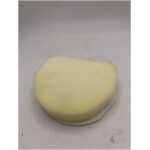 Shark NV350UK Foam Filter